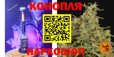 сатива Берёзовский