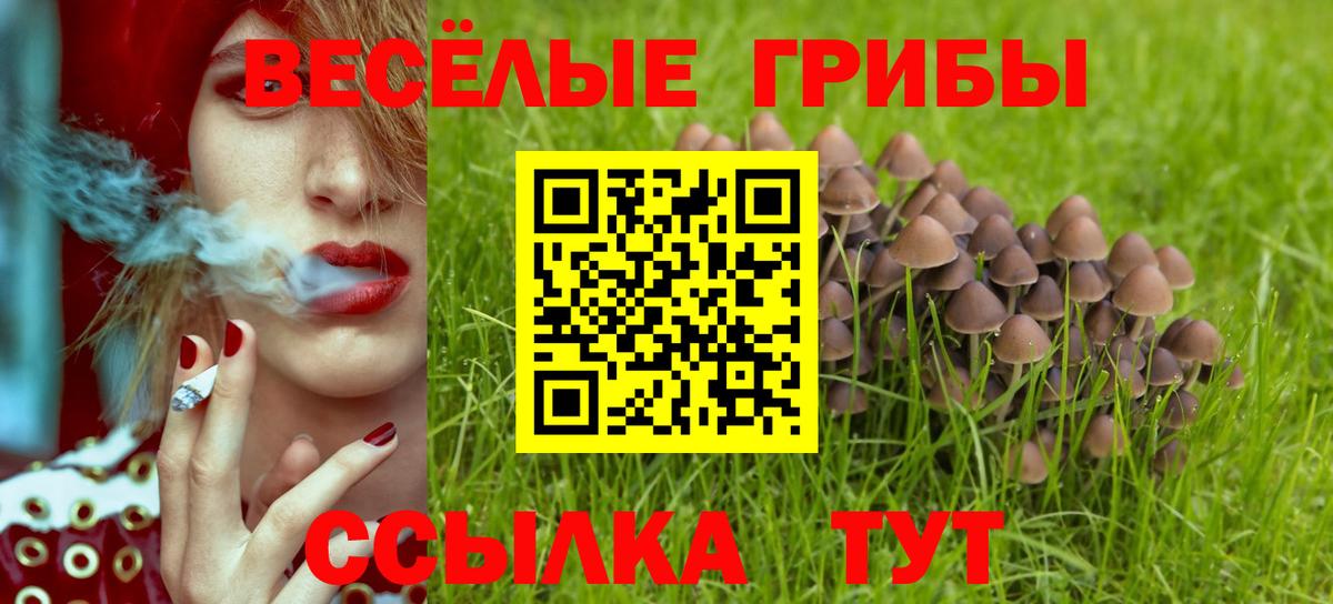 Воронеж  цены наркотик  Вход с VPN  Псилоцибиновые грибы ЛСД 